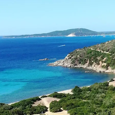 D'hotes Les Oliviers Bed & Breakfast Torre delle Stelle
