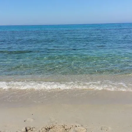 D'hotes Les Oliviers Bed & Breakfast Torre delle Stelle