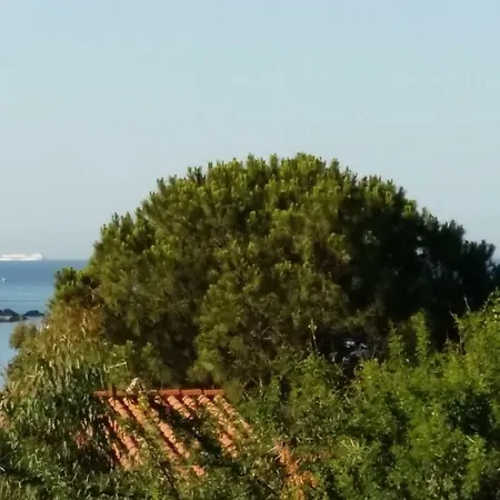 D'hotes Les Oliviers * Torre delle Stelle
