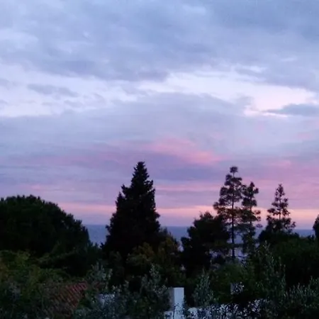 D'hotes Les Oliviers Bed & Breakfast